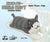 Neko Navy Daydream Edition Mugi Plush